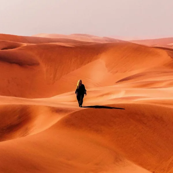 Désert africain au coucher de soleil