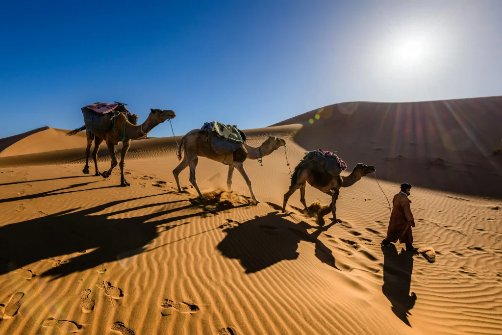 Camping dans le désert au Maroc.