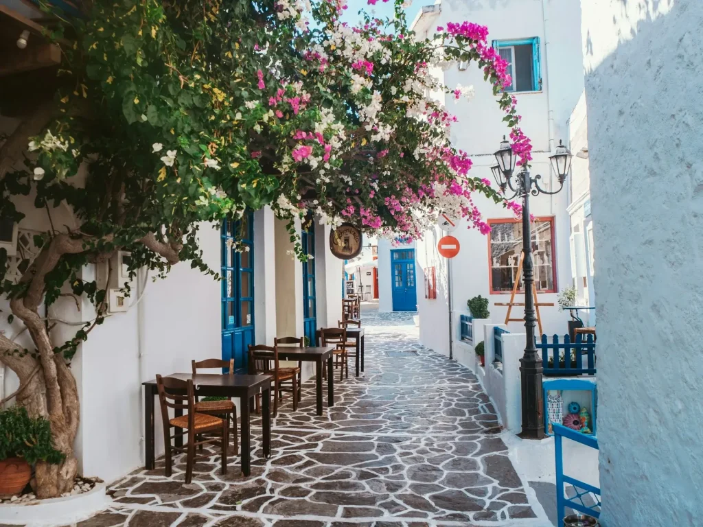 Arbre à fleurs roses en Grèce.