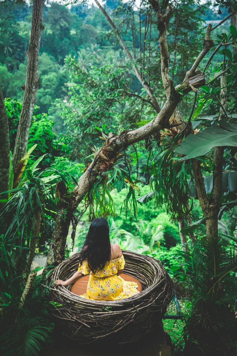 Jungle de Bali, Indonésie