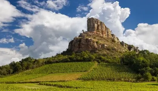 Rocher de Solutré et vignobles en Bourgogne