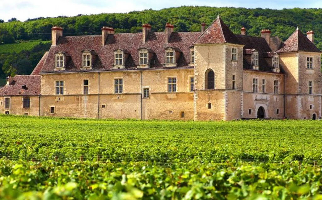 Vignoble français avec château en arrière-plan