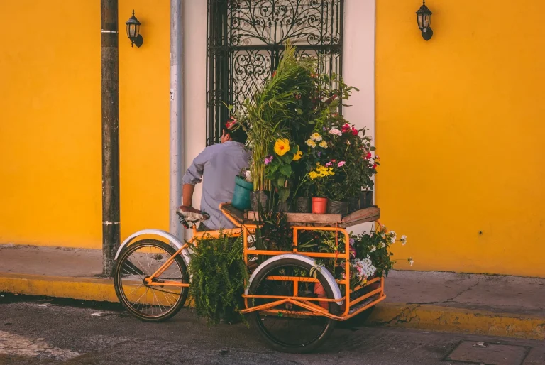 Homme se tenant près d'un tricycle jaune avec des pots de fleurs