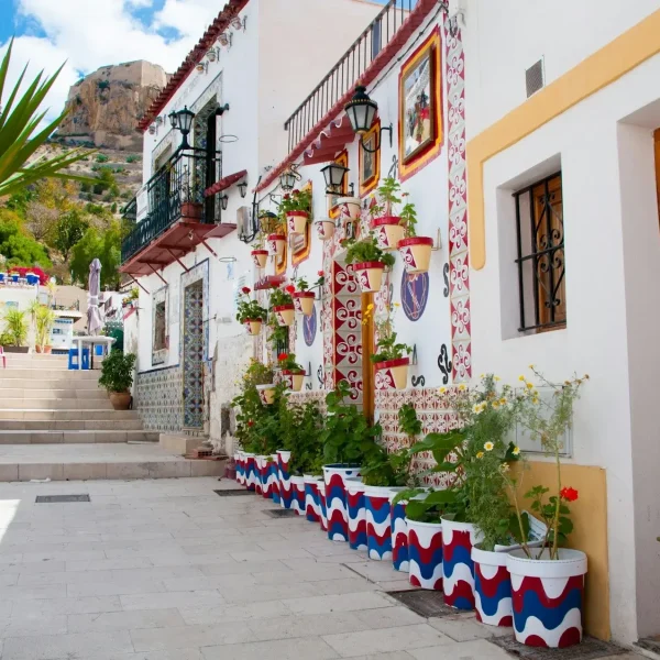 Narrow street lined with potted plants next to a building