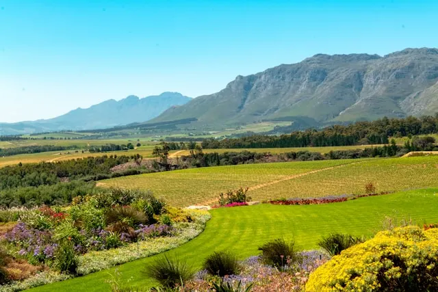 Ernie Els Wines, Afrique du Sud