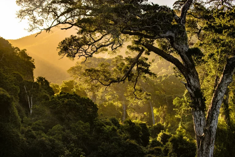 Nature's Valley, Afrique du Sud