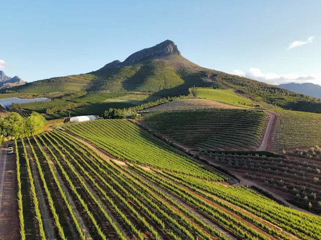 Stellenbosch, Afrique du Sud