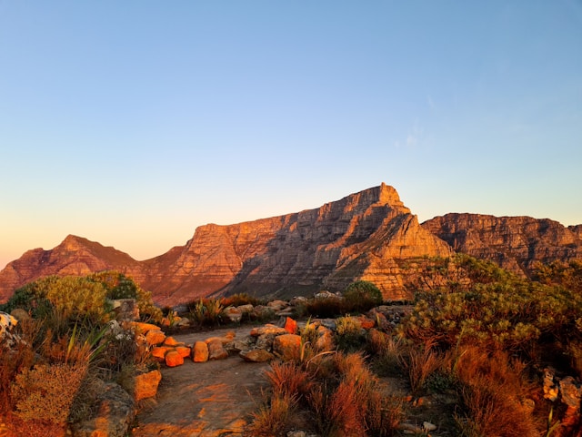 Table Mountain, Réserve naturelle de Table Mountain, Le Cap, Afrique du Sud