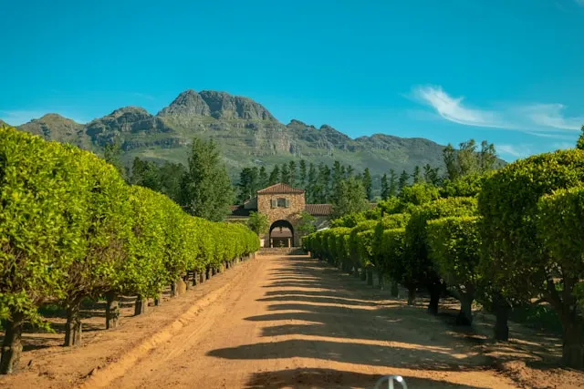 Waterford Estate, Afrique du Sud