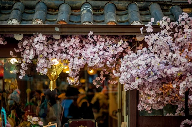 Fleurs roses sur des bardeaux de toit