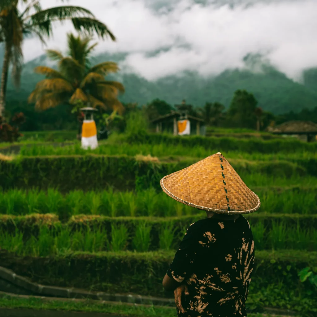 Paysage naturel à Bali