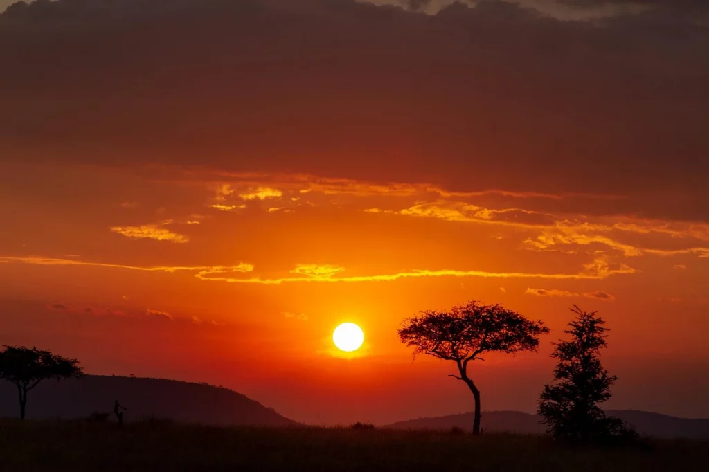 Coucher de soleil africain sur la savane.