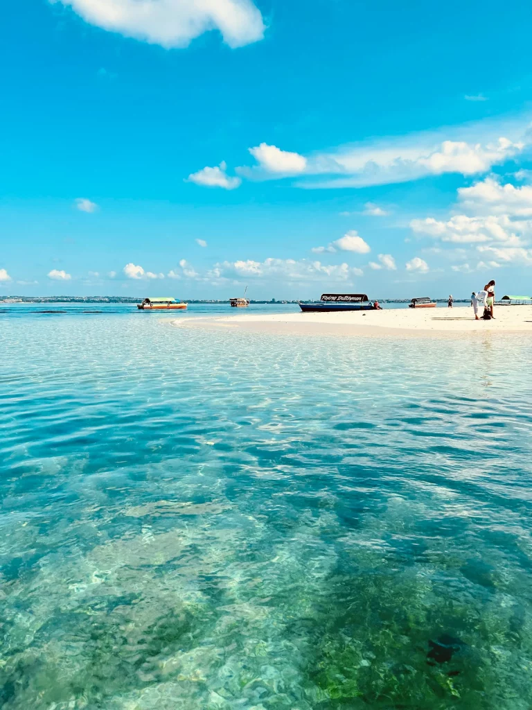 Eaux cristallines d'une plage tropicale.