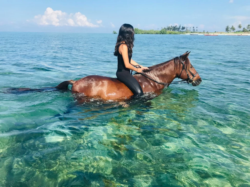 Balade à cheval dans des eaux cristallines.