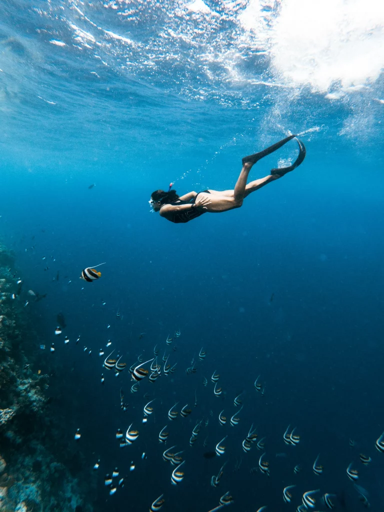 Aventure de snorkeling dans un récif tropical.