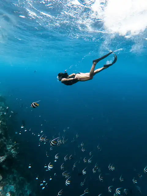 Plongée avec tuba dans un récif corallien.