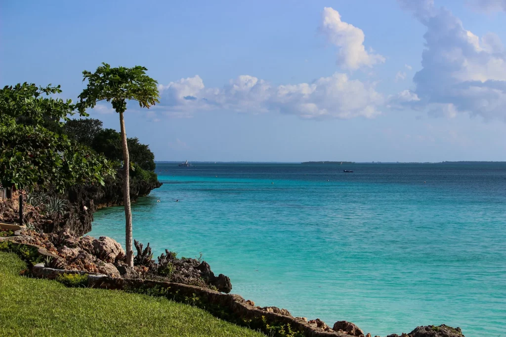 Vue tropicale sur l'océan avec une plage bordée de palmiers.