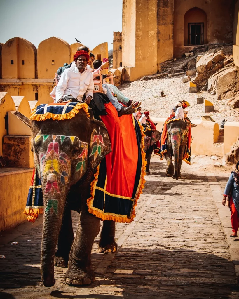 Homme en chemise blanche montant un éléphant en journée