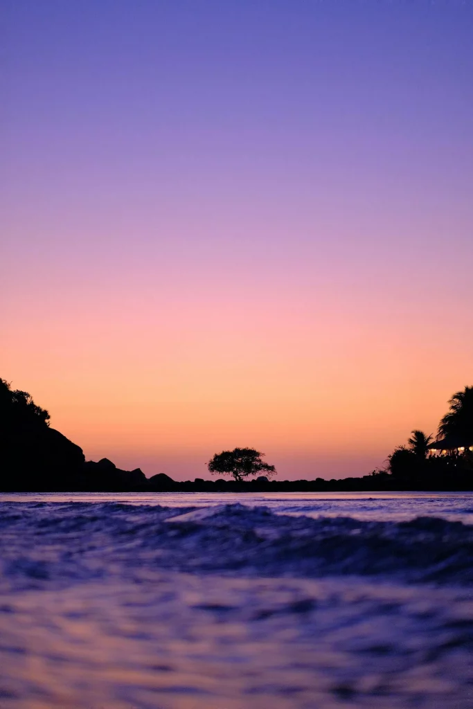 Silhouette d'arbres près d'un plan d'eau au coucher du soleil