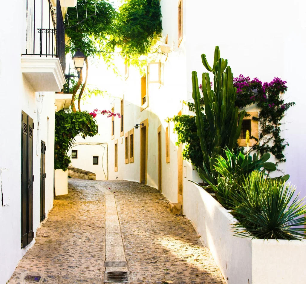 Ruelle étroite et charmante d'Ibiza avec des cactus