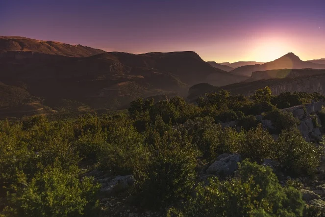 Coucher de soleil spectaculaire avec des teintes dorées et rosées illuminant le ciel et reflétant sur une étendue paisible de paysage naturel.